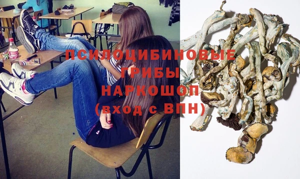 дживик Иннополис